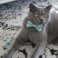 Cookies and Milk Collar and Bow Tie
