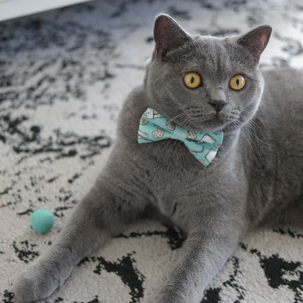 Cookies and Milk Collar and Bow Tie