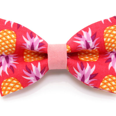 Pineapple Berry Collar and Bow Tie