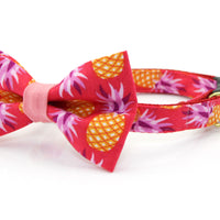 Pineapple Berry Collar and Bow Tie