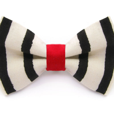 Cheshire Collar and Bow Tie