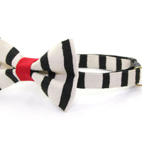 Cheshire Collar and Bow Tie