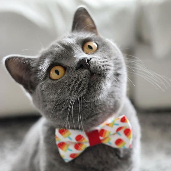 Rainbow Popsicle Collar and Bow Tie